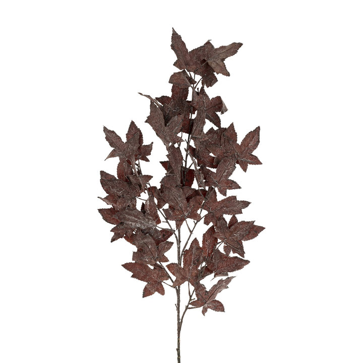 Marlow Maple Branch
