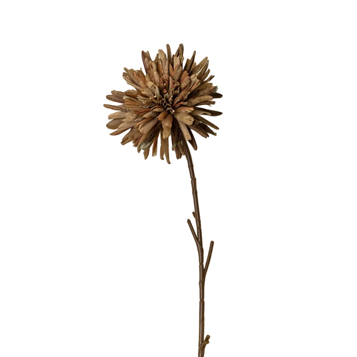 Rust Bloom Dahlia Stem