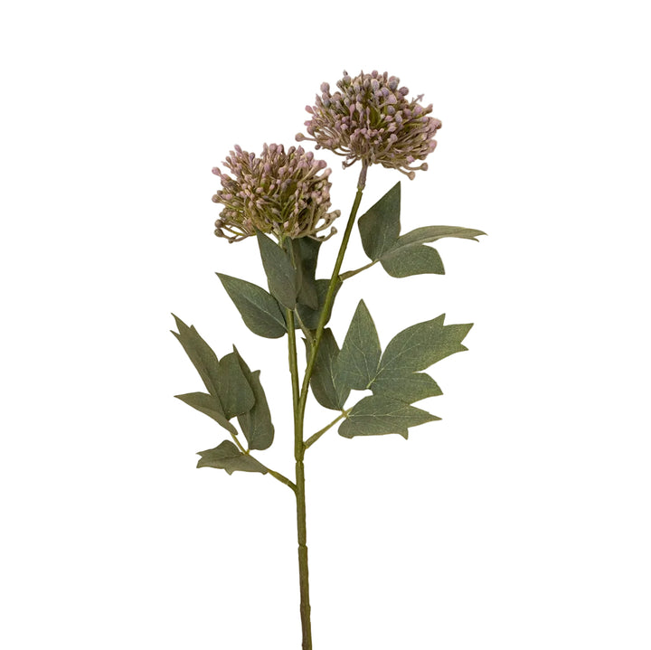 Dusky Plum Sedum Spray