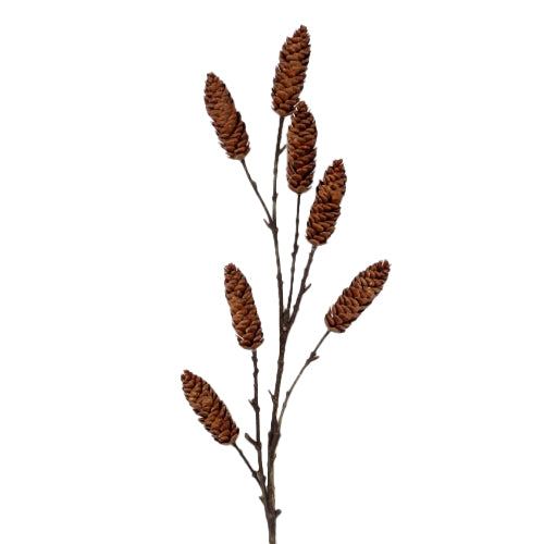 Woodland Pinecone Branch