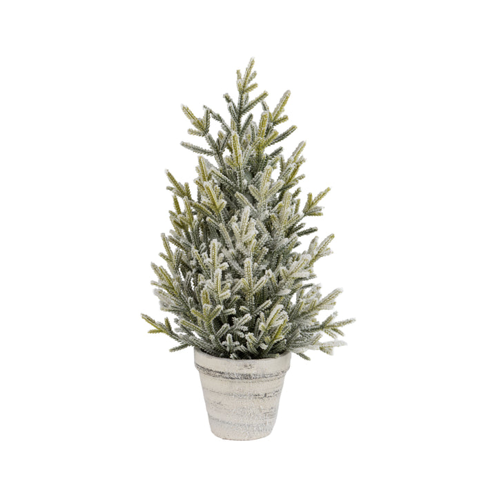 Frosted Potted Fir Tree