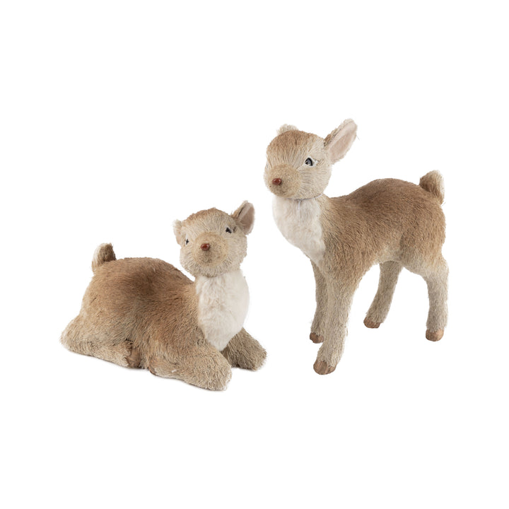 Neutral Grass Covered Fawn