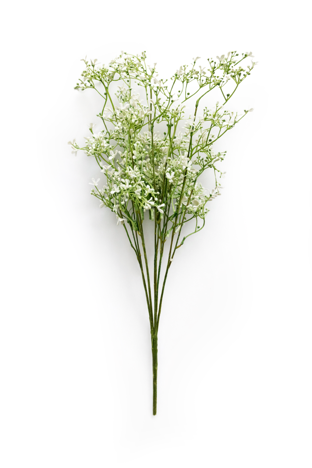 Airy Meadow Blossom Stem