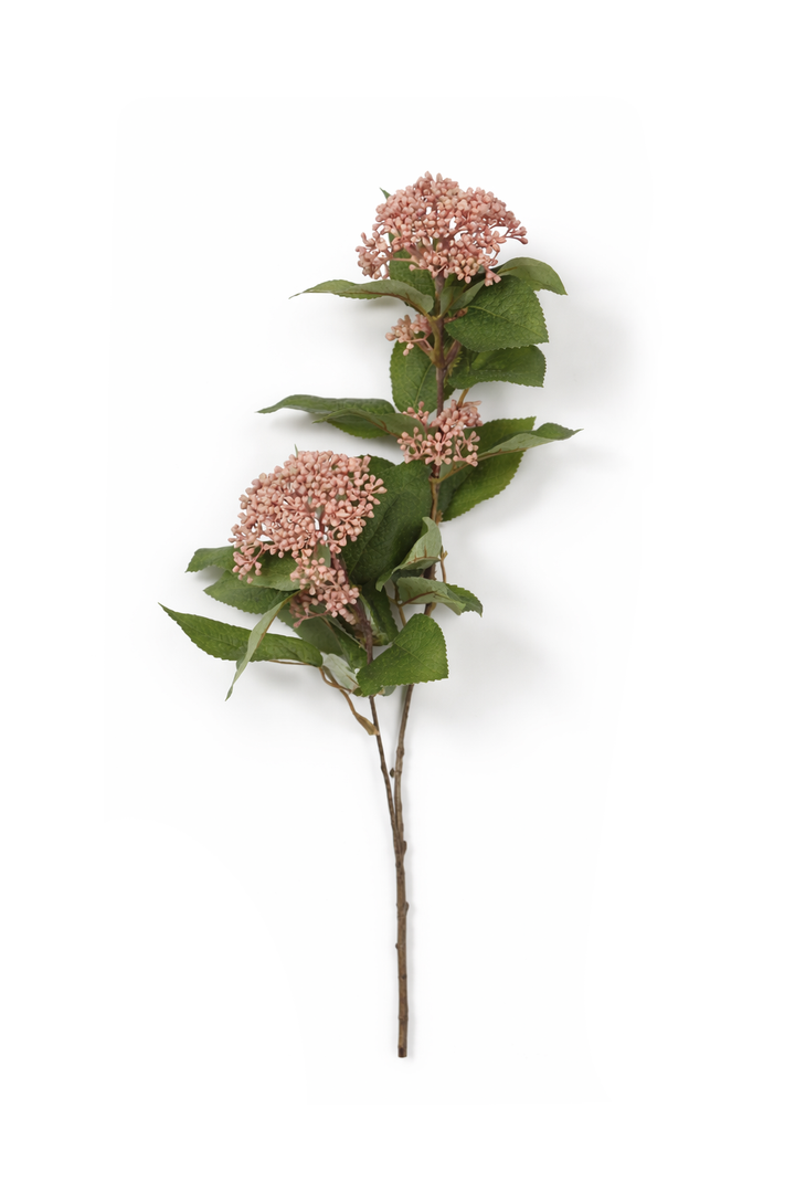 Pink Sedum Cluster Bush