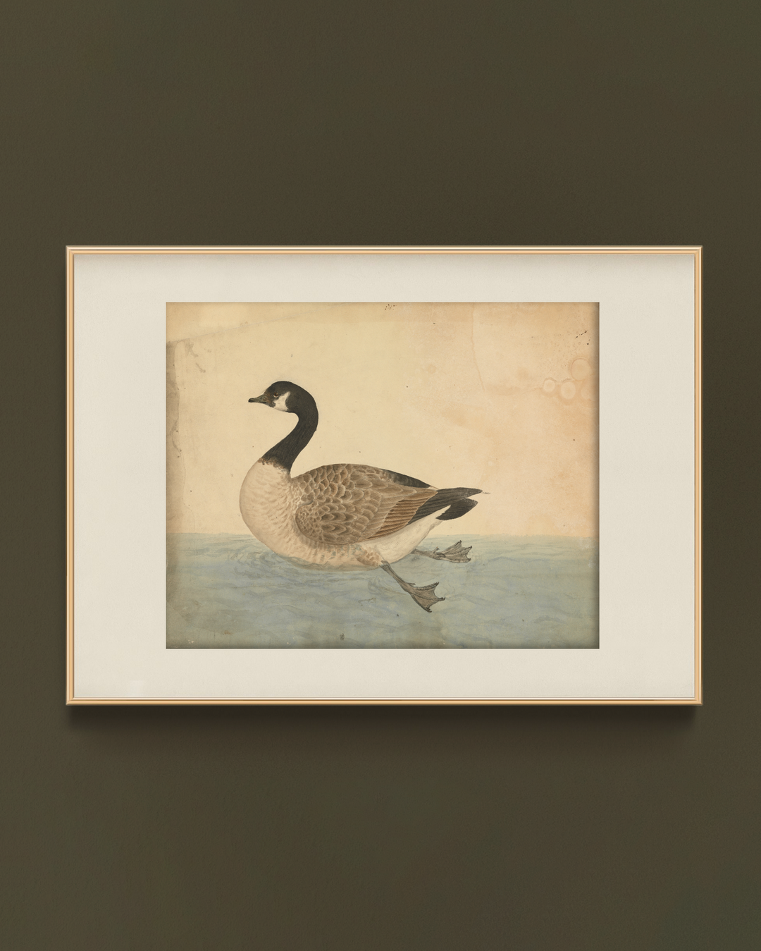 Vintage Swimming Goose Art Print