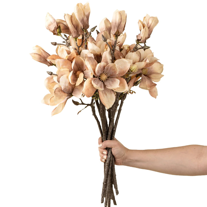 Cream Magnolia Branch