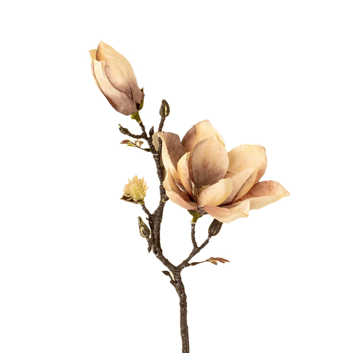 Cream Magnolia Branch