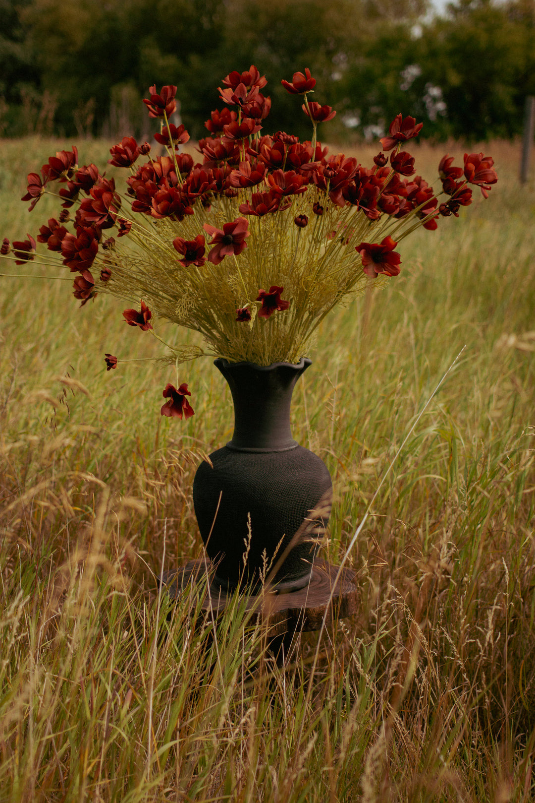 Blackthorn Matte Terracotta Vase