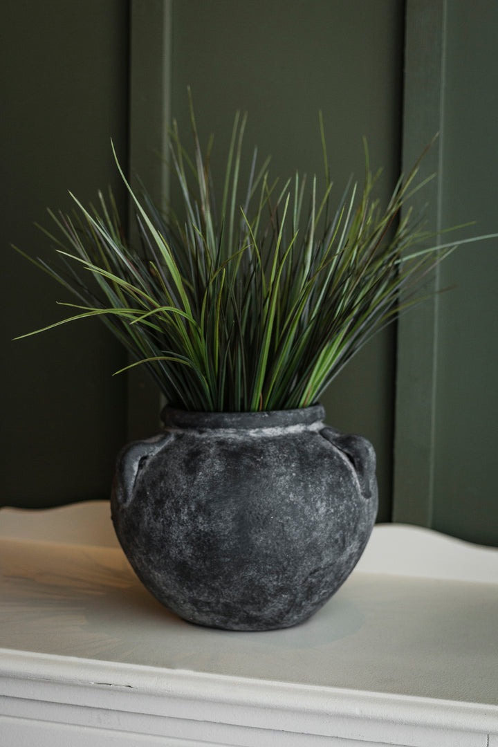 Red Tipped Grass Stem