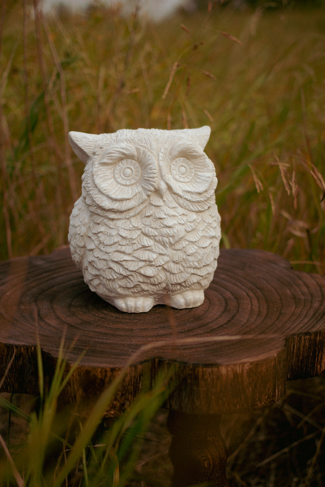 Sculpted Owl Accent