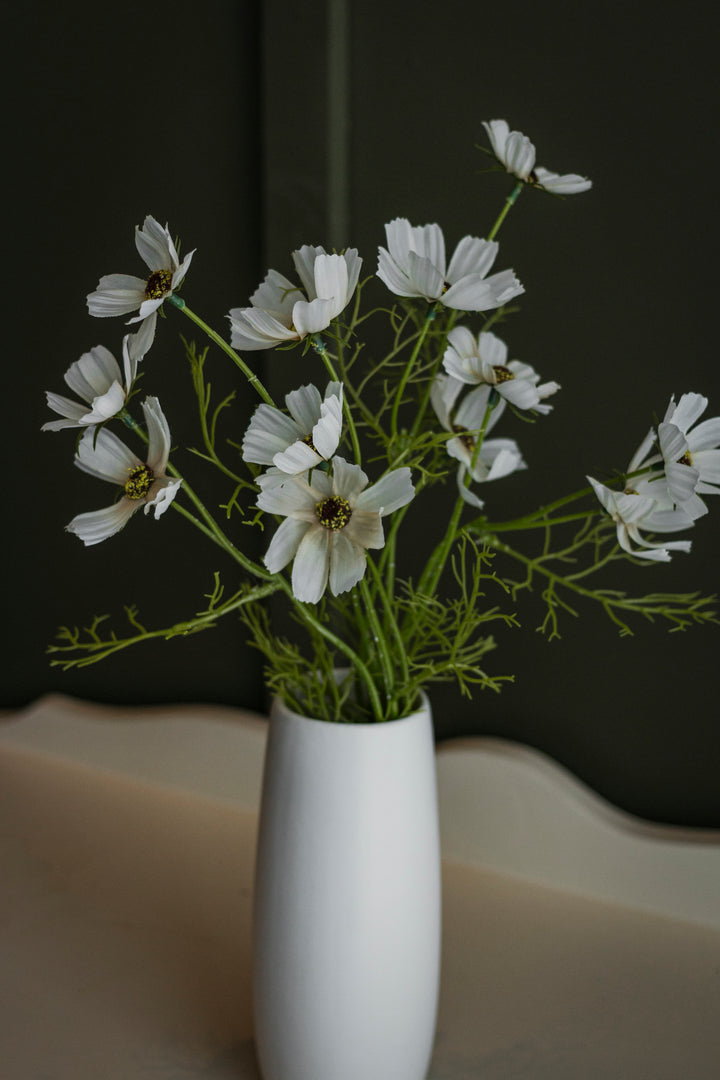 Cream Cosmo Stem