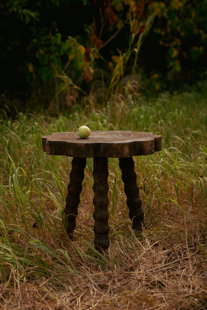 Turned Wood Stool