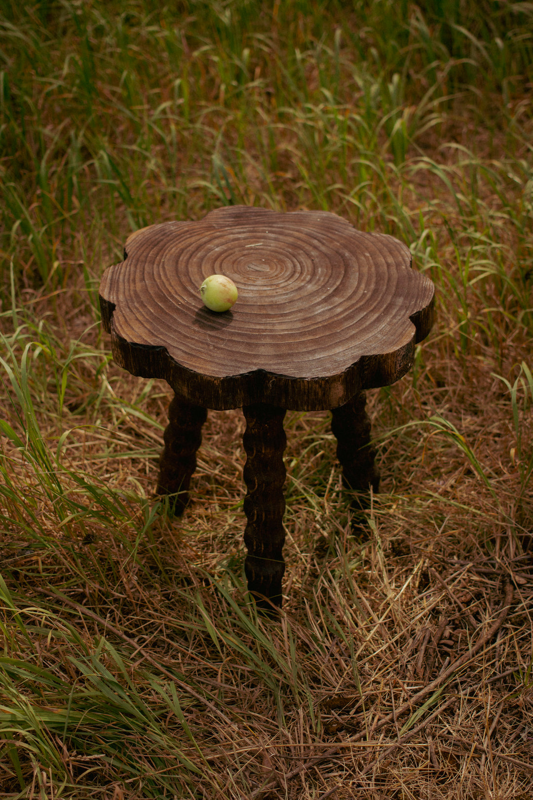 Turned Wood Stool