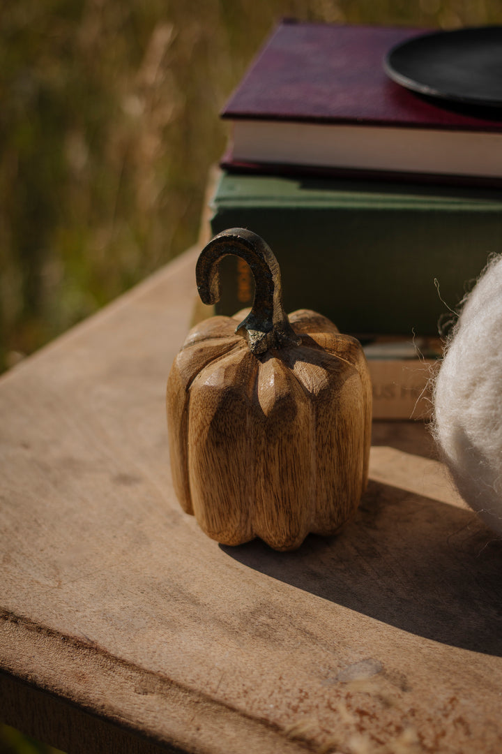 Harvest Curl Stem Pumpkin