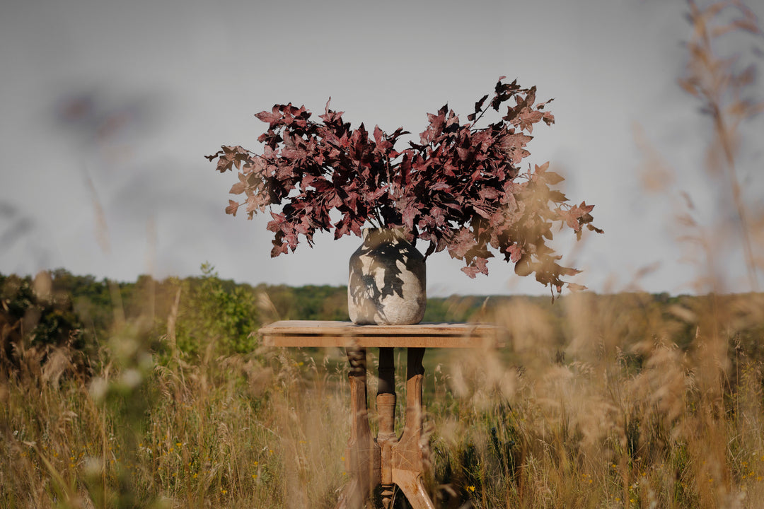 Textured Terracotta Vase in Greige Wash
