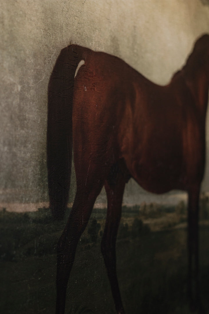 Chestnut Horse in Field
