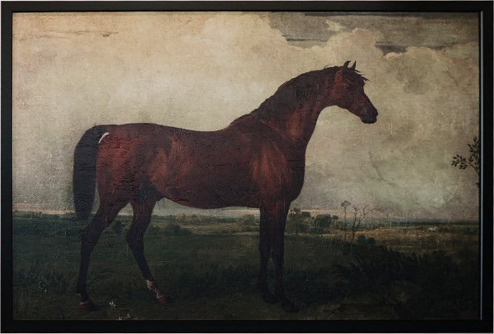 Chestnut Horse in Field