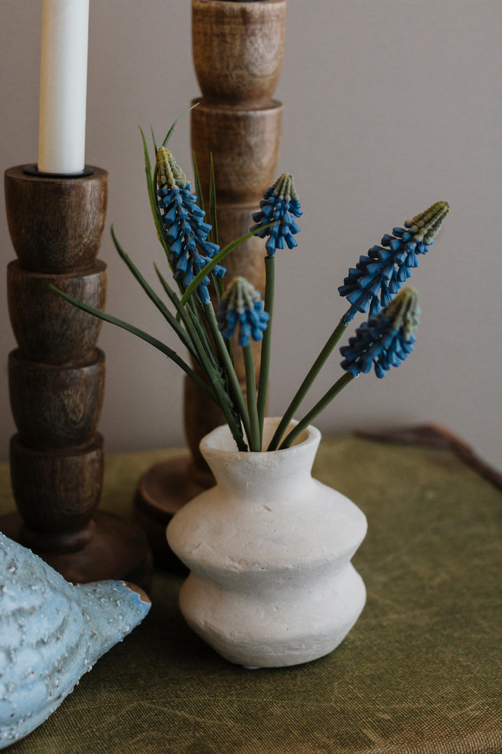 Spring Blue Muscari Bundle