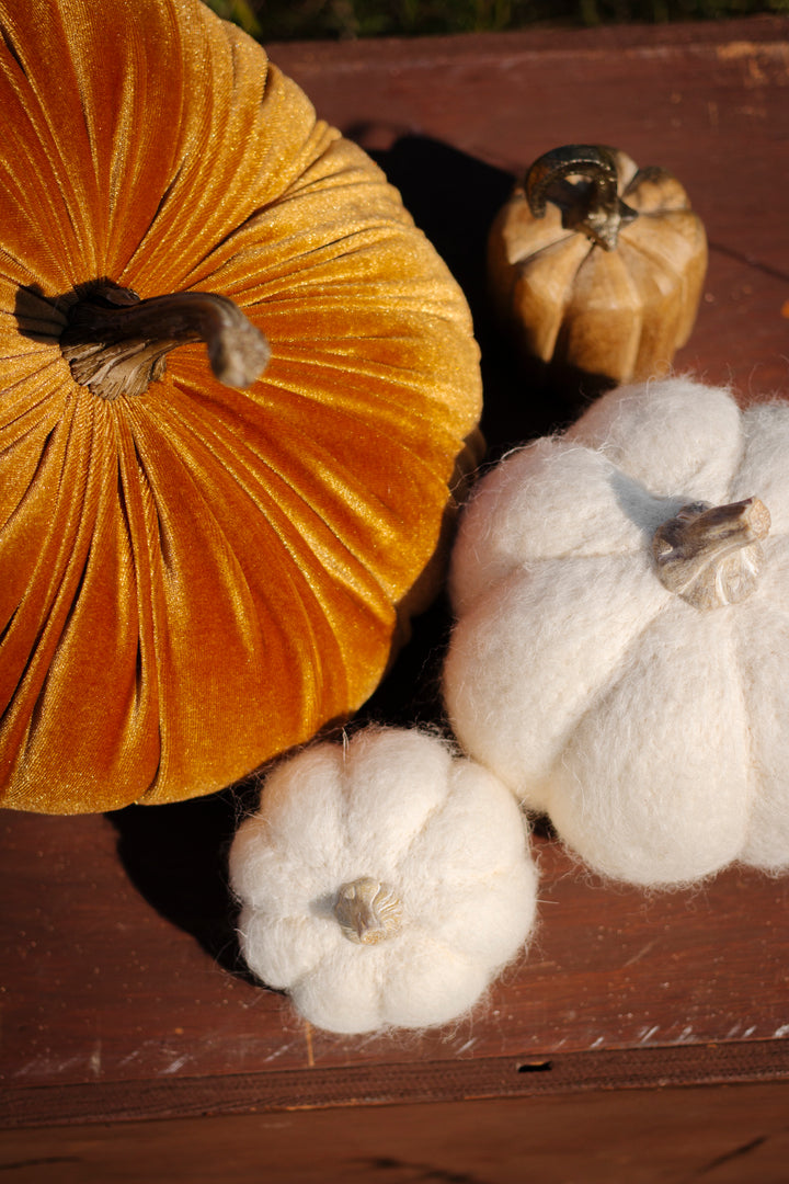 Velvet  Pumpkins