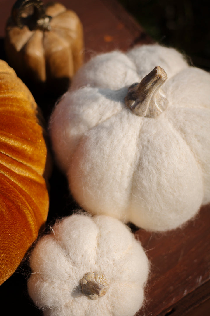 Small White Felt Pumpkin