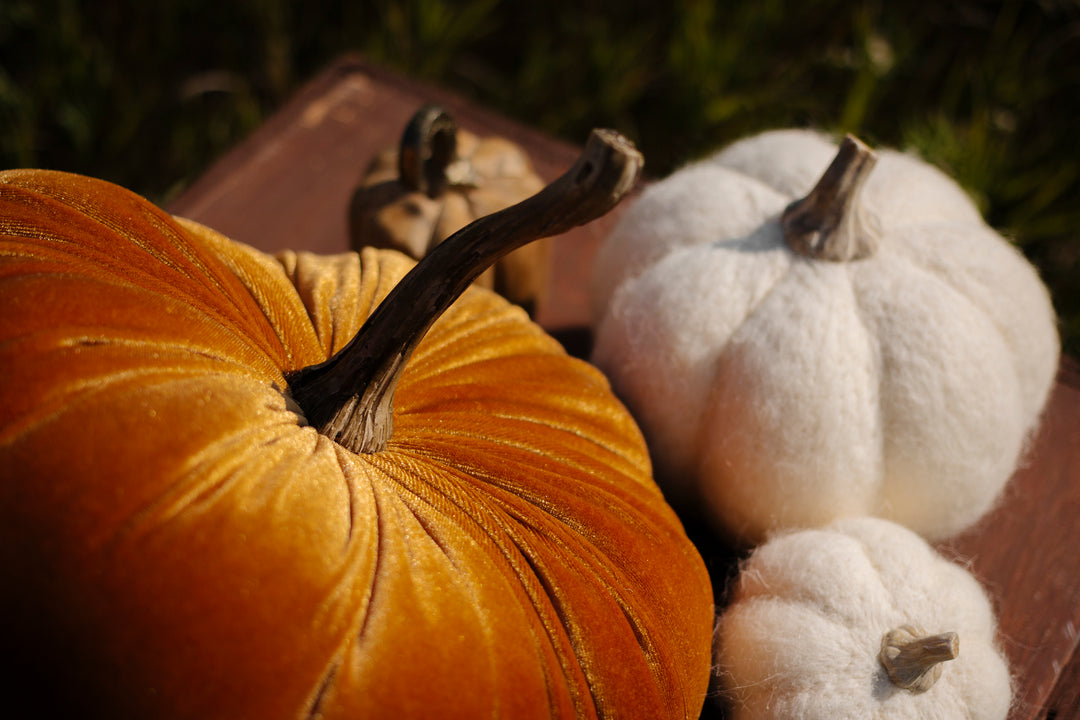 Velvet  Pumpkins