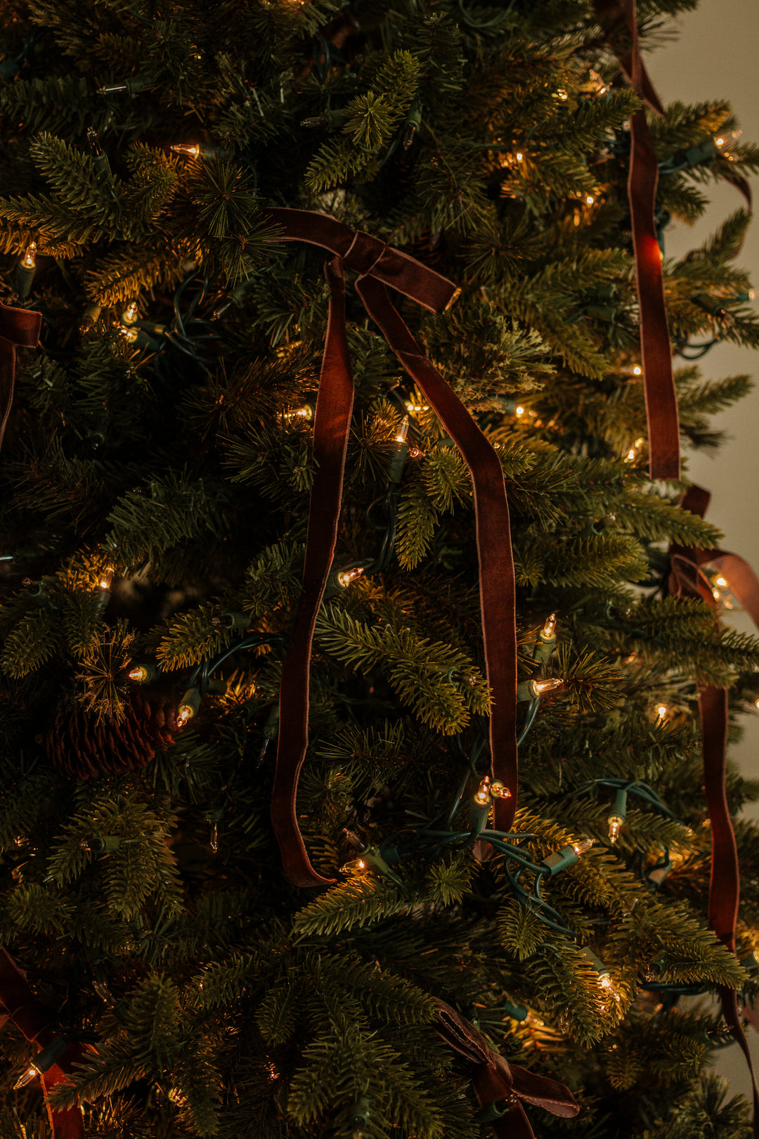 Brown Velvet Bow with Clip