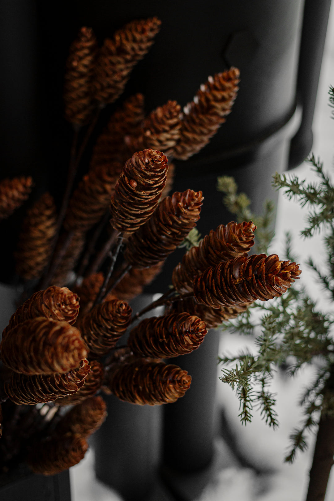 Woodland Pinecone Branch