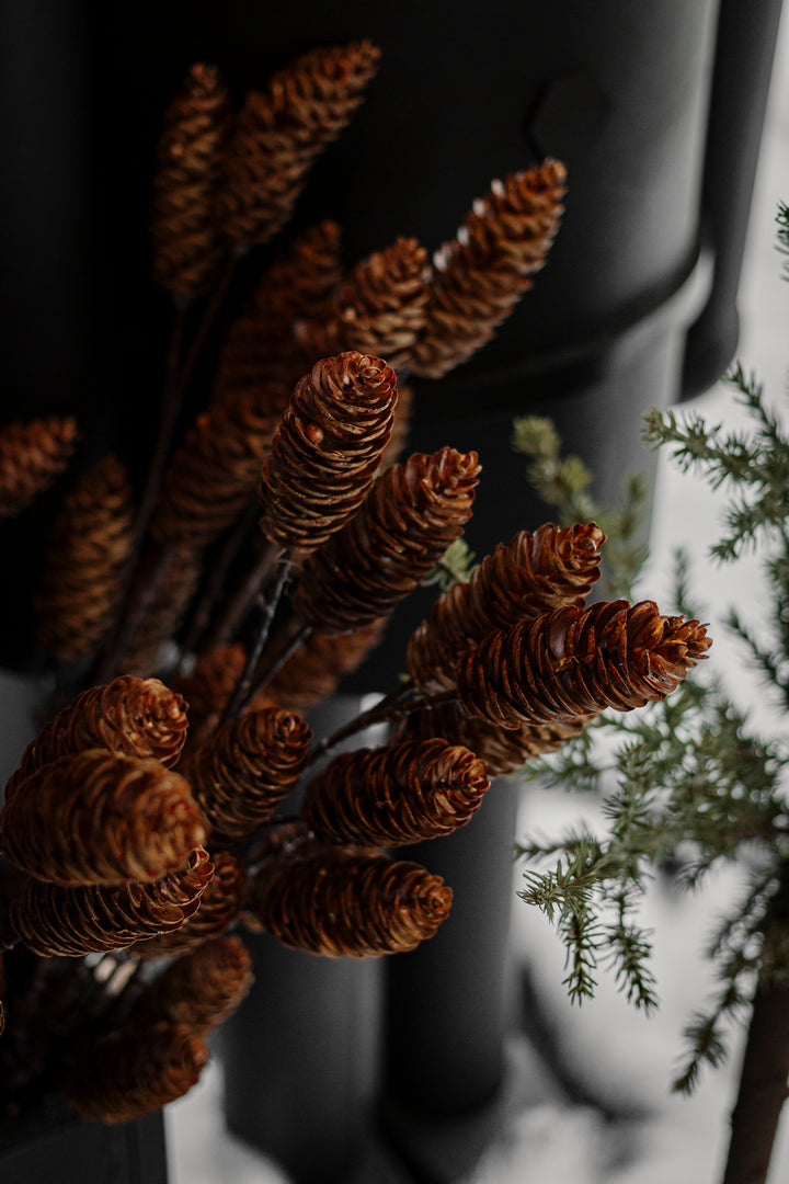 Woodland Pinecone Branch