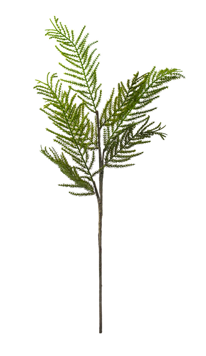 Cypress Stem Real Touch