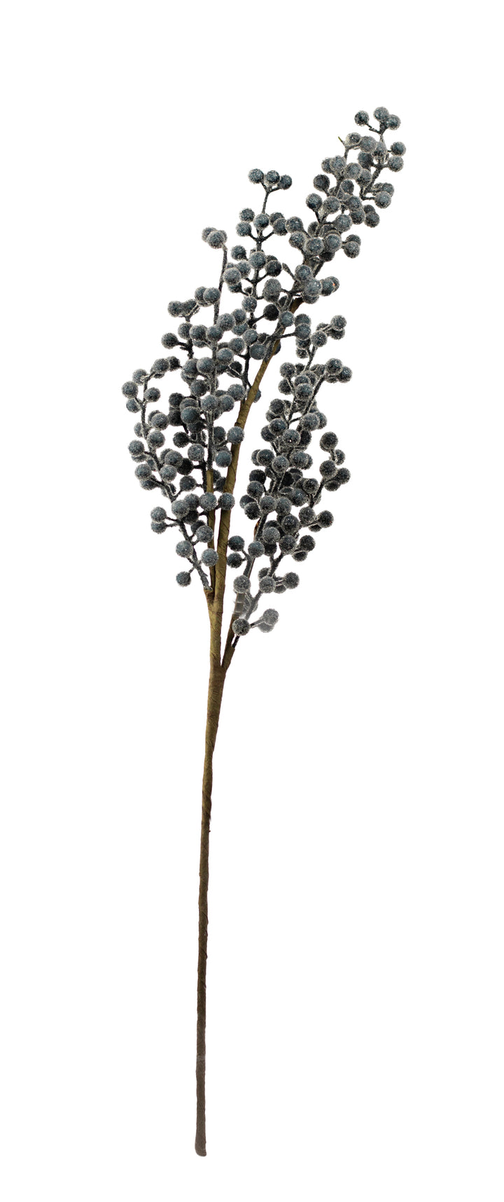 Frosted Blueberry Branch