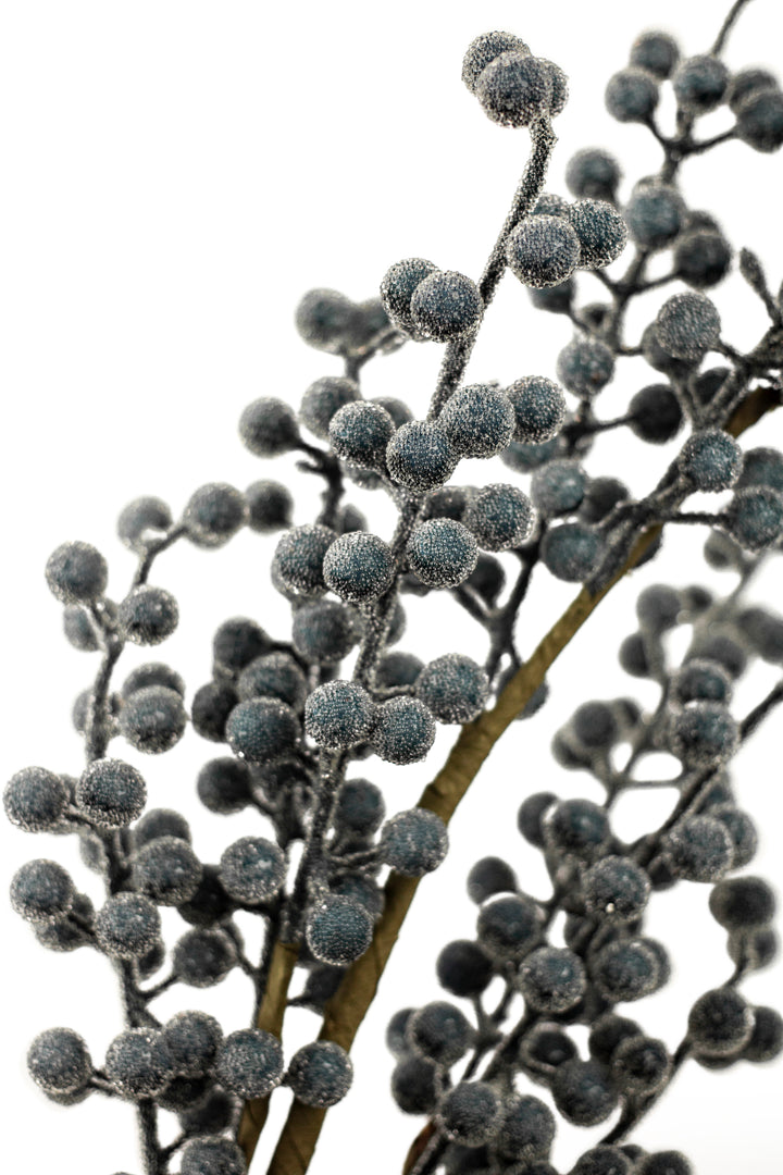 Frosted Blueberry Branch