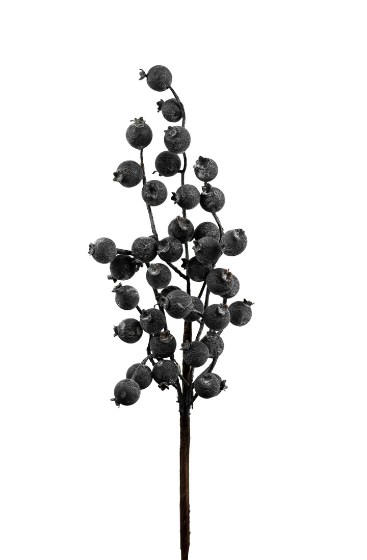 Blueberry Cluster Pick