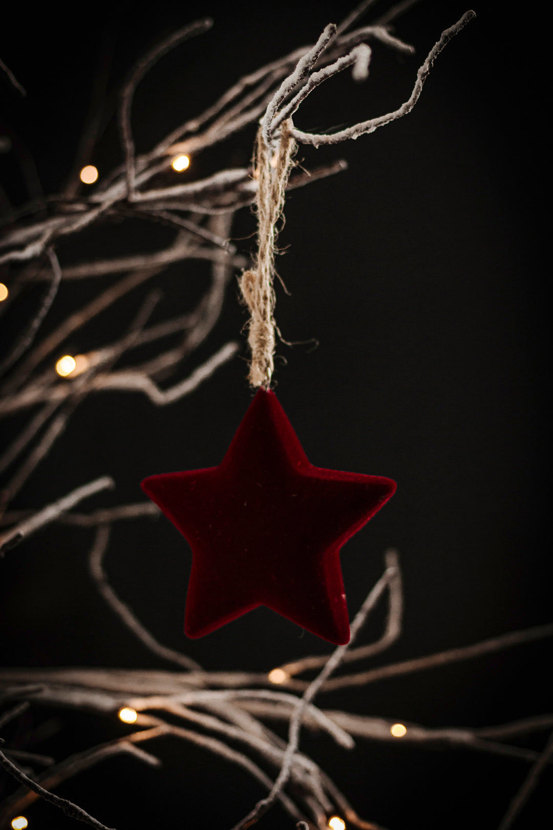 Velvet Cranberry Ornaments