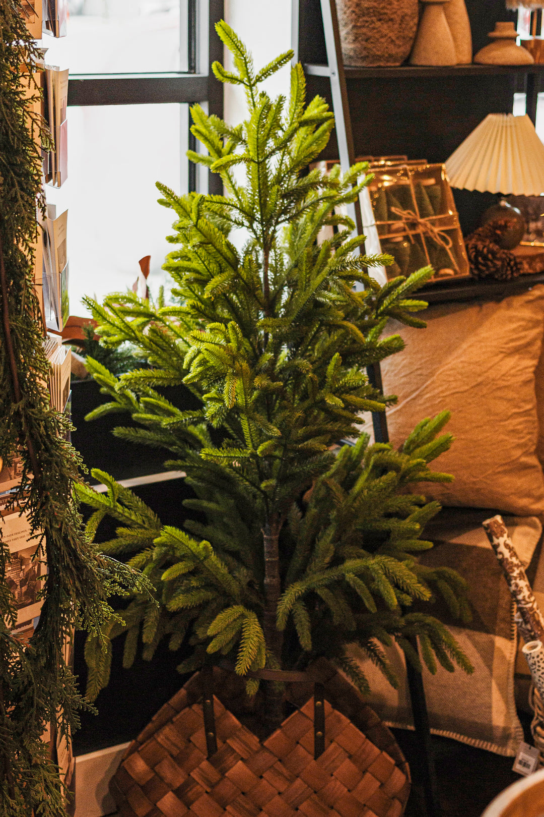 5 Foot Highland Spruce Tree