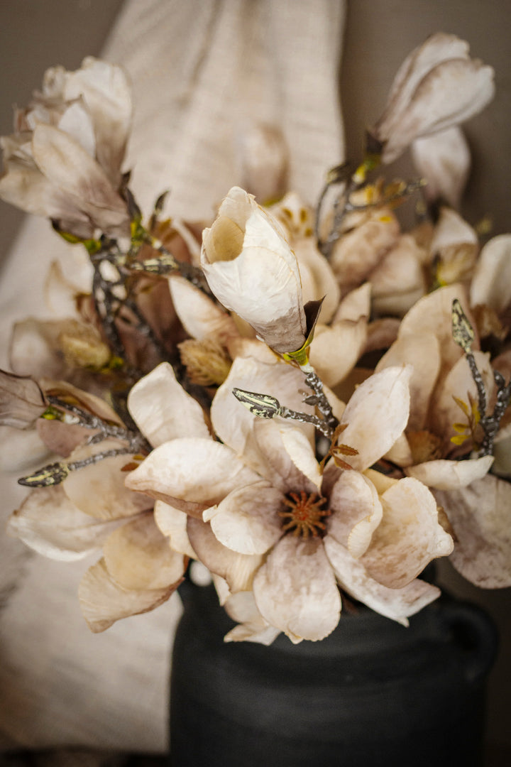 Cream Magnolia Branch