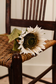 Cream Sunflower Stem