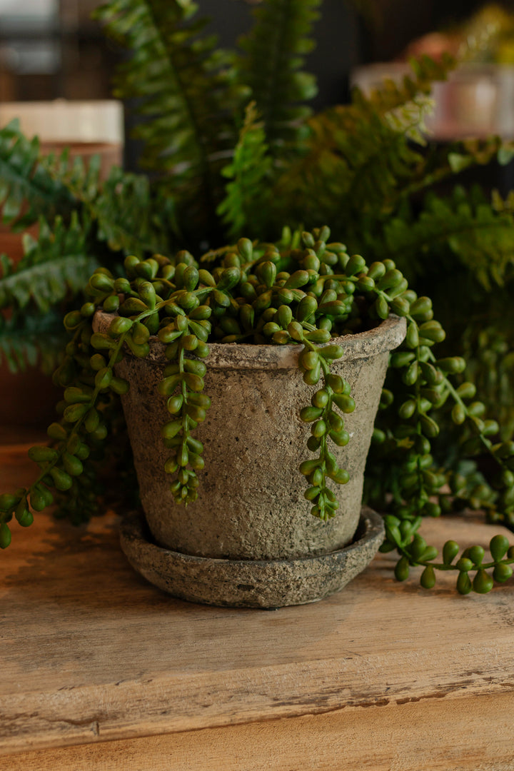 Antiqued Textured Cement Planter