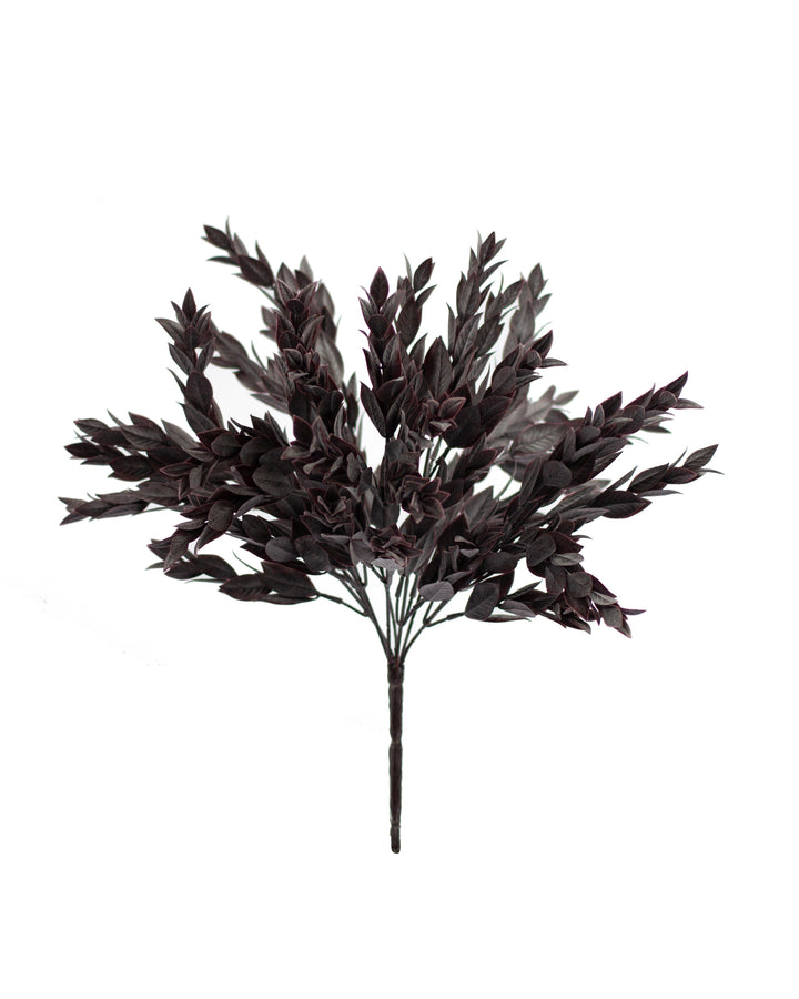 Muted Burgundy Ruscus Bush