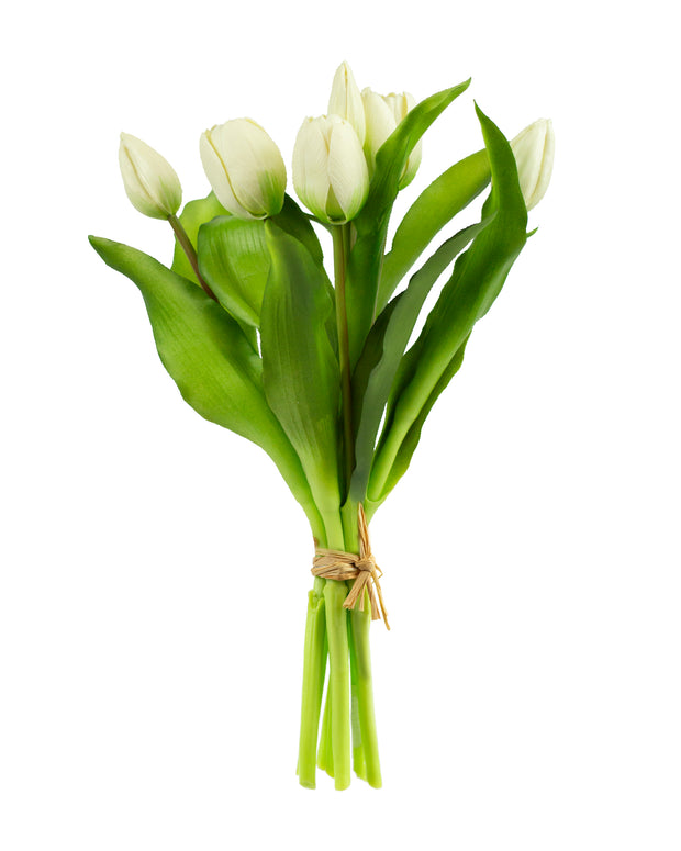White Fresh Touch Tulip Bundle