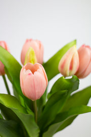 Pink Fresh Touch Tulip Bundle