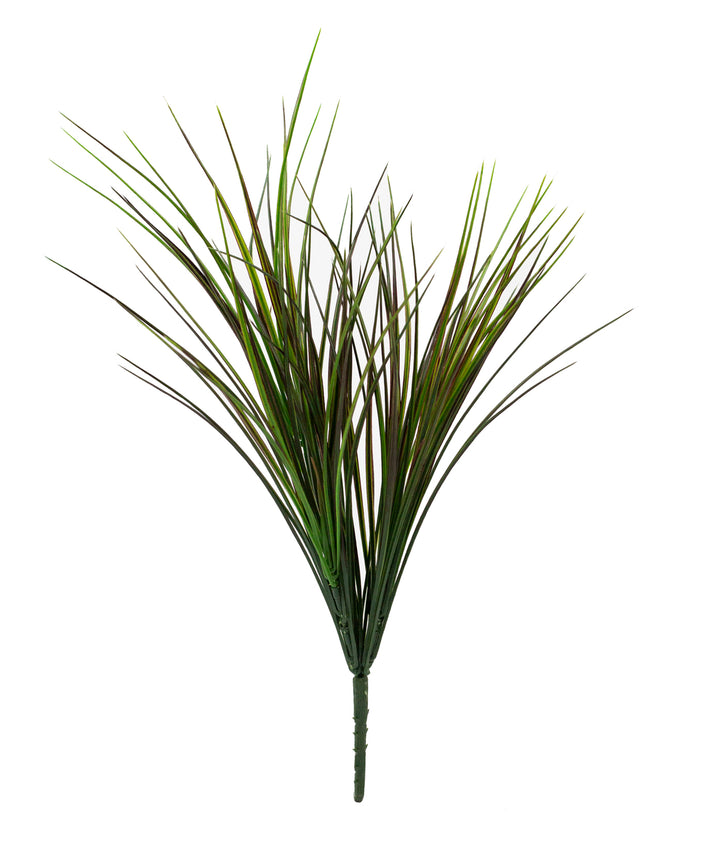 Red Tipped Grass Stem