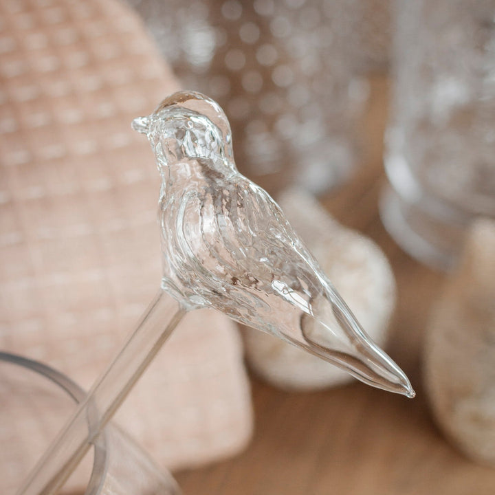 Glass Bird Watering Globe