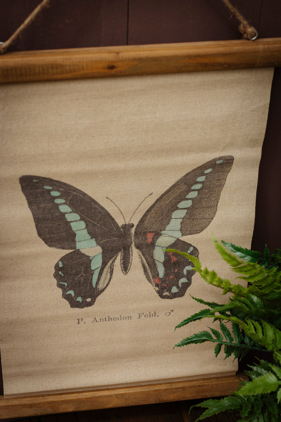 Vintage Butterfly Hanging Tapestry