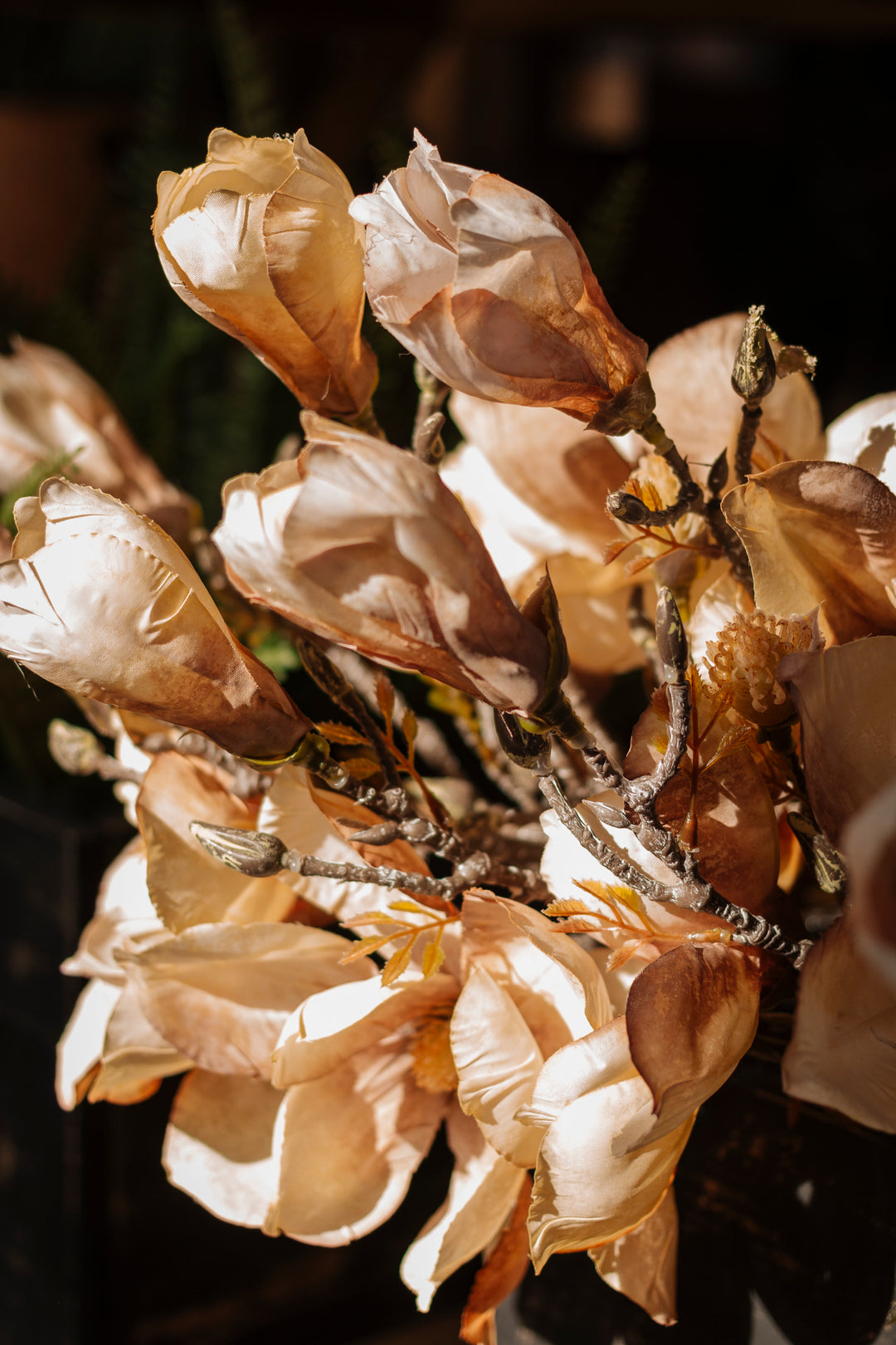 Cream Magnolia Branch