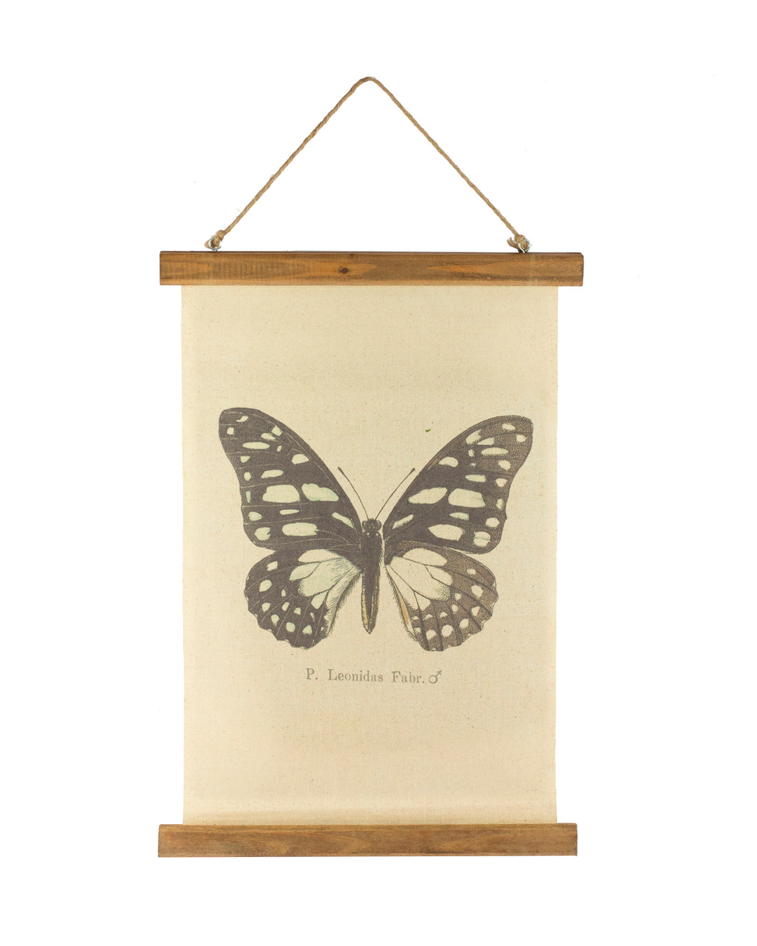 Vintage Butterfly Hanging Tapestry