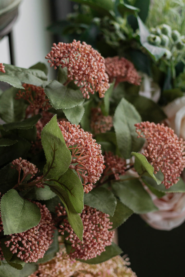 Pink Sedum Cluster Bush