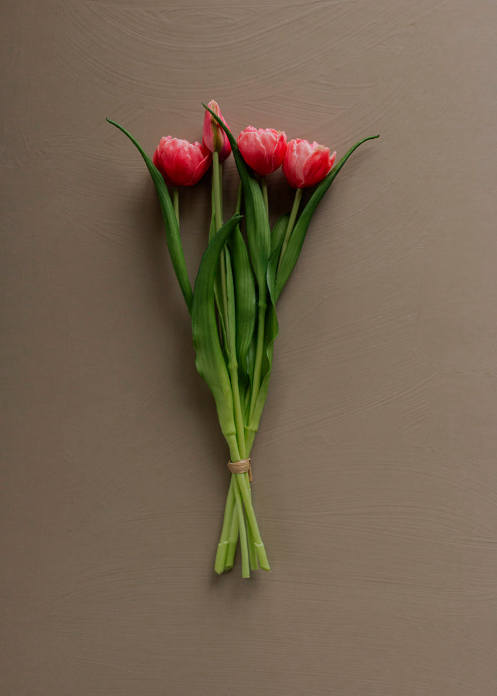 Coral Garden Tulip Bundle