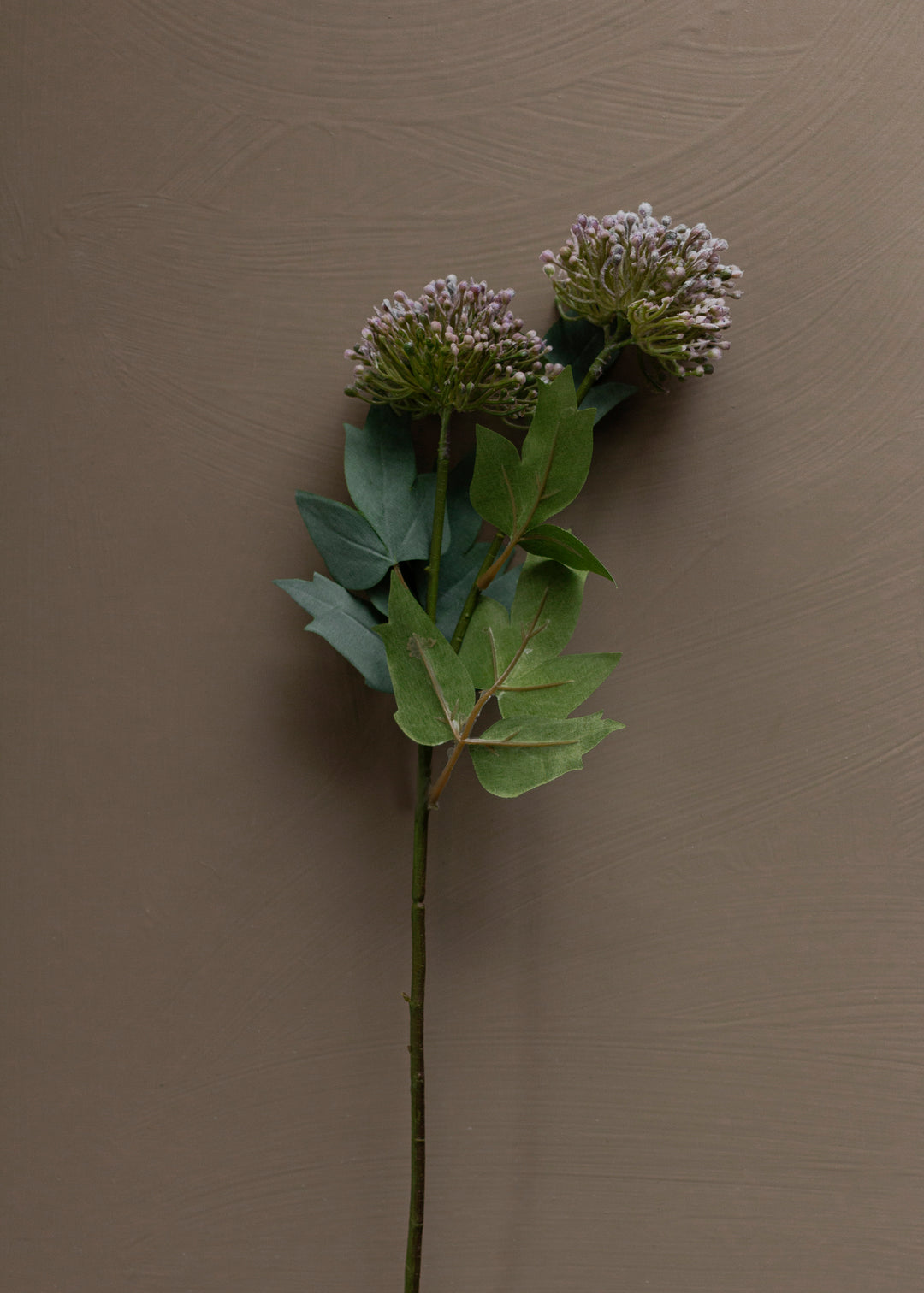 Dusky Plum Sedum Spray