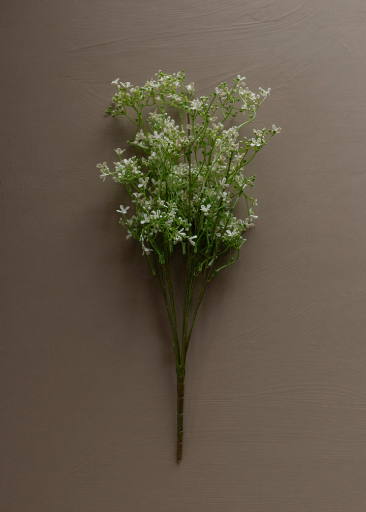 Airy Meadow Blossom Stem