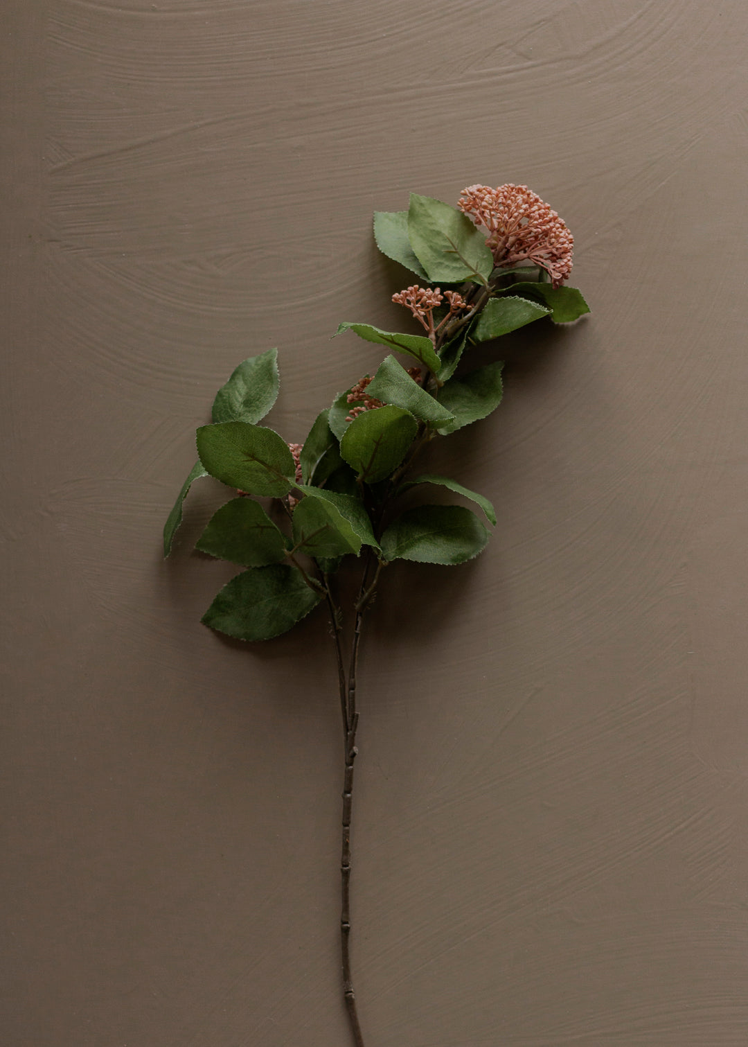 Pink Sedum Cluster Bush